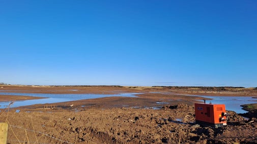 Sandilands in spring